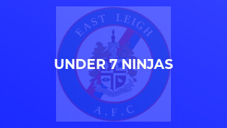 Under 7 Ninjas