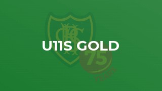 U11s Gold