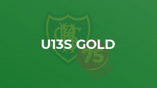 U13s Gold