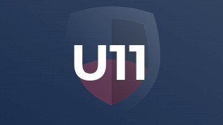 U11