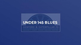 Under 14s Blues