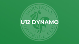 U12 Dynamo