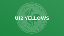 U12 Yellows