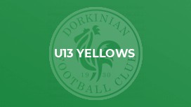U13 Yellows