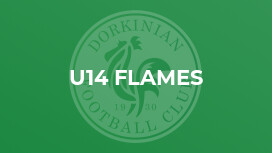 U14 Flames