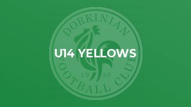 U14 Yellows