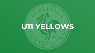 U11 Yellows
