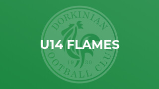 U14 Flames