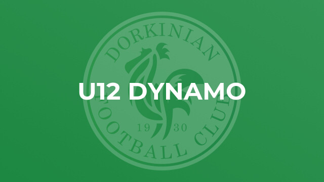 U12 Dynamo