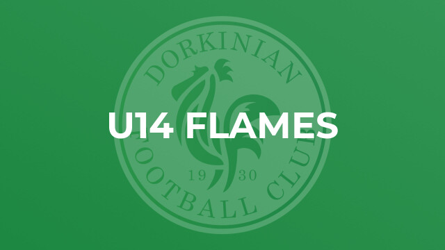 U14 Flames
