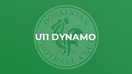 U11 Dynamo