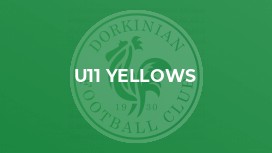 U11 Yellows