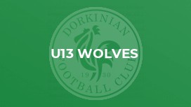 U13 Wolves