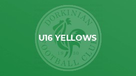 U16 Yellows