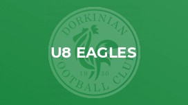 U8 Eagles