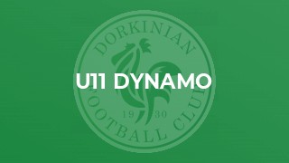 U11 Dynamo