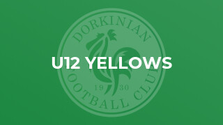 U12 Yellows