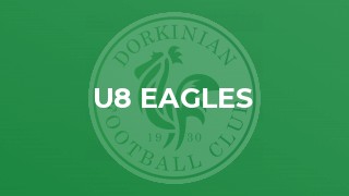 U8 Eagles