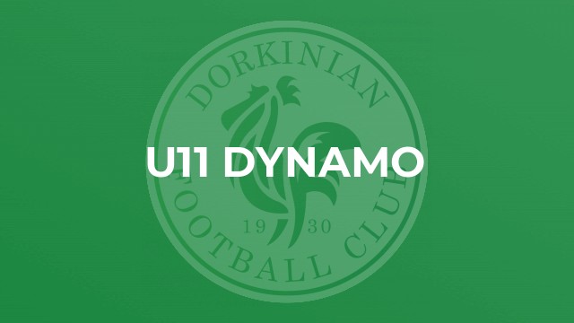 U11 Dynamo