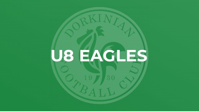 U8 Eagles