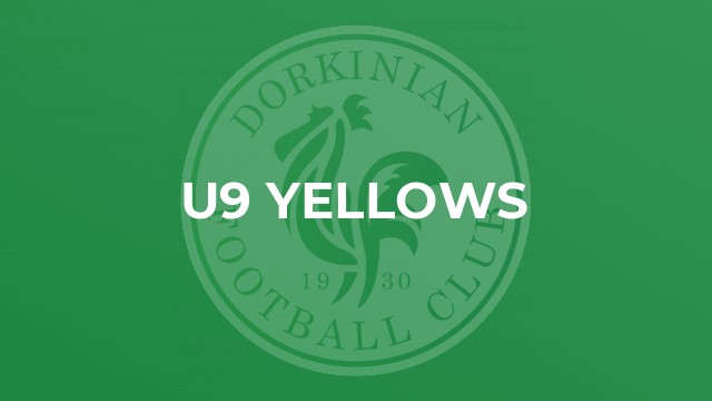 U9 Yellows