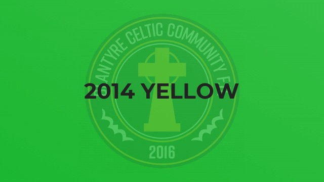 2014 Yellow