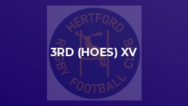 3rd (Hoes) XV