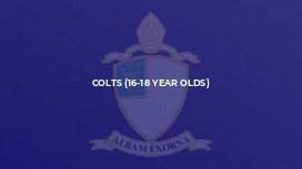 Colts (16-18 year olds)