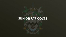 Junior U17 Colts