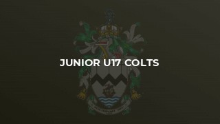 Junior U17 Colts