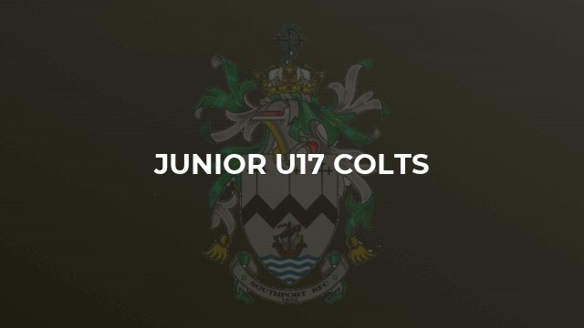 Junior U17 Colts