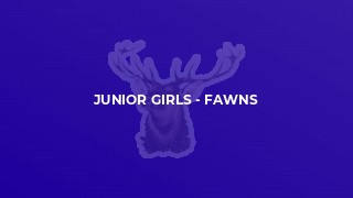 Junior Girls - Fawns