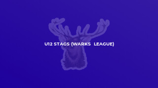 U12 Stags (Warks  League)