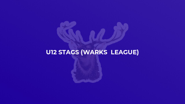 U12 Stags (Warks  League)