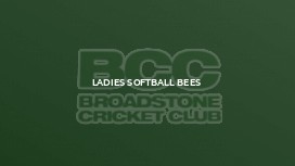 Ladies Softball Bees