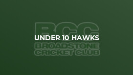 Under 10 Hawks