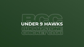 Under 9 Hawks