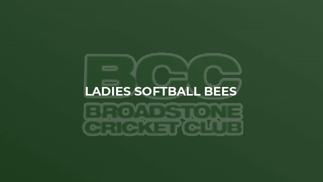 Ladies Softball Bees