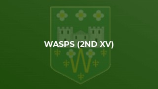 Wasps (2nd XV)