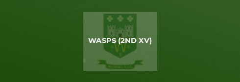 Wasps (2nd XV) v Avon II