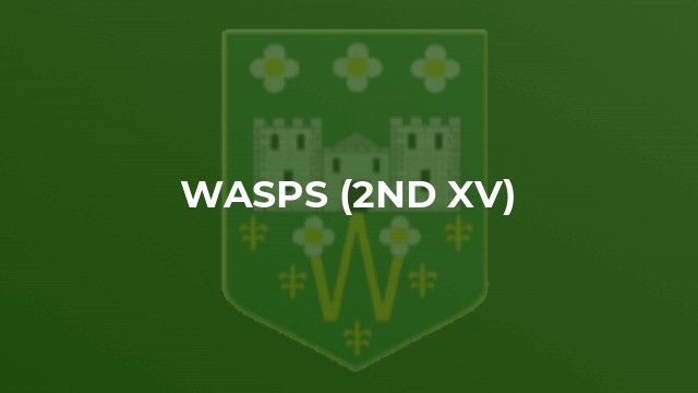 Wasps (2nd XV)