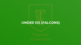Under 13s (Falcons)