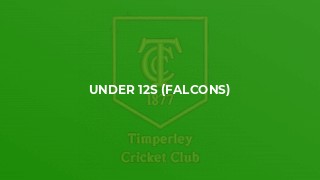 Under 12s (Falcons)