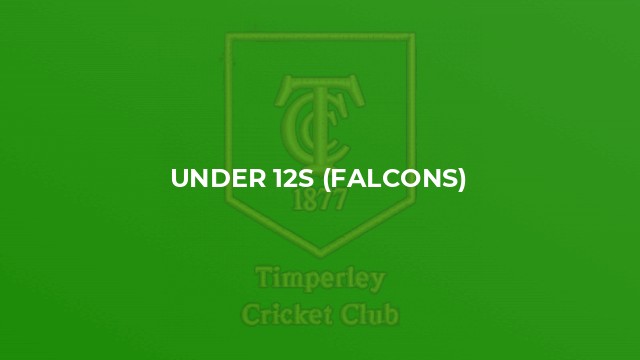 Under 12s (Falcons)