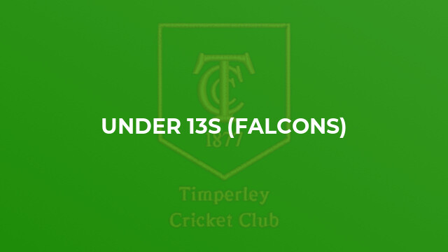 Under 13s (Falcons)