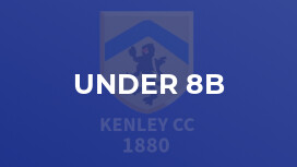 Under 8B