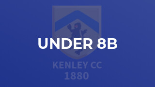 Under 8B