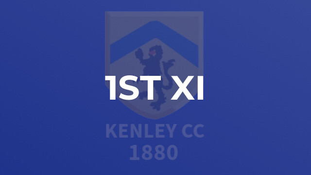 1st XI