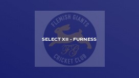 Select XII - Furness