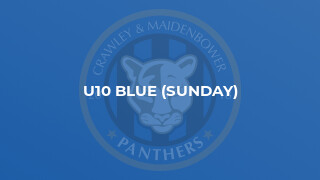 U10 Blue (Sunday)